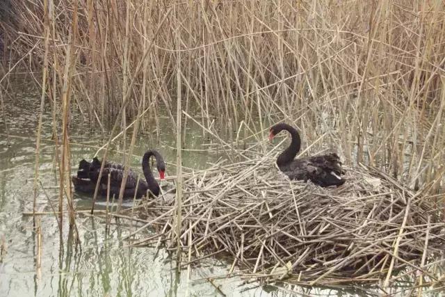 这个世界,总有一个人一直默默爱着你