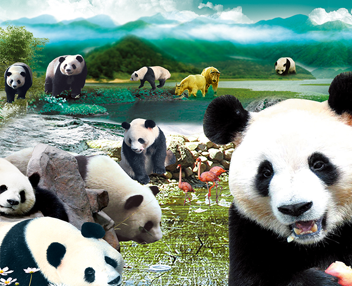 7、大熊猫馆