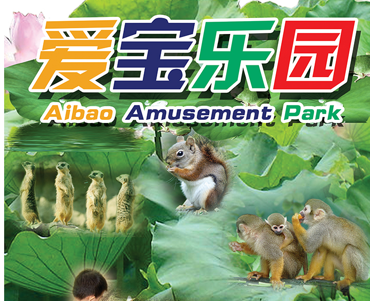 10、爱宝乐园