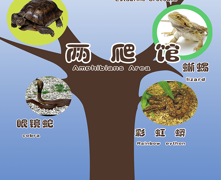 13、 两栖爬行馆