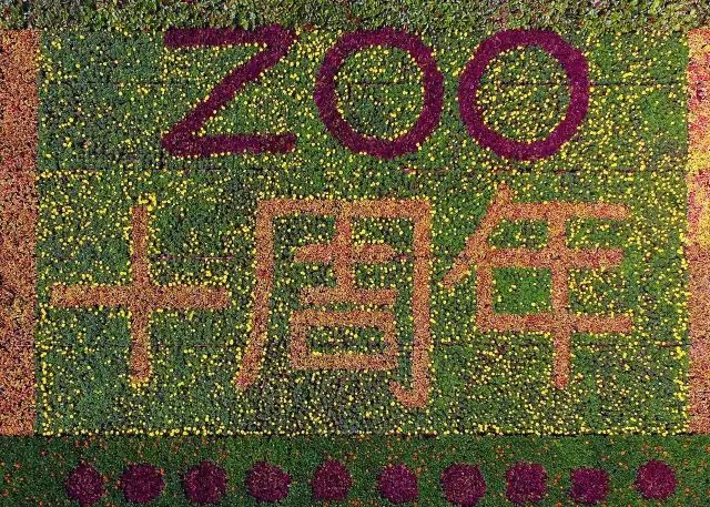 江苏淹城野生动物世界十岁了！风雨同舟，感恩有你！