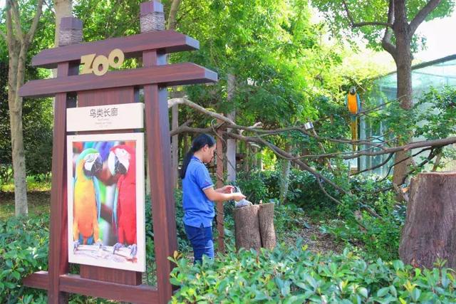 别以为它们就是“花瓶”，小身材大能量，它们远比你想象的厉害！