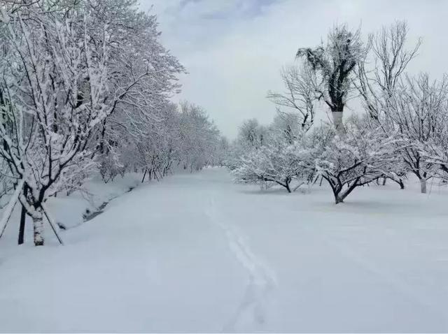 三九隆冬不惧冷，淹城“晒雪”活动火热投票中