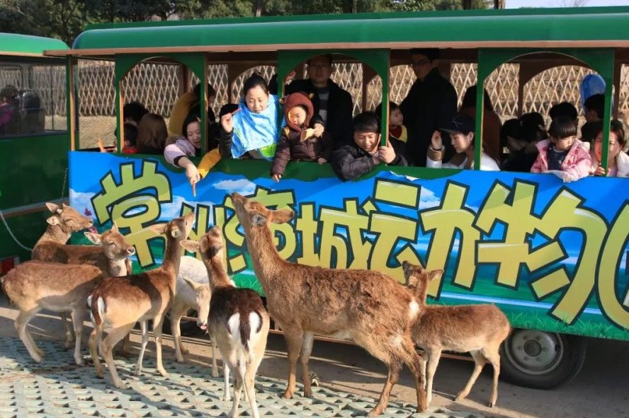 攻略 | “春春欲动”出游季，常州淹城动物园不二之选！