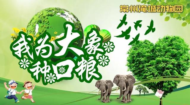 植树添绿拥抱春天，共同牵手为非洲象种口粮！