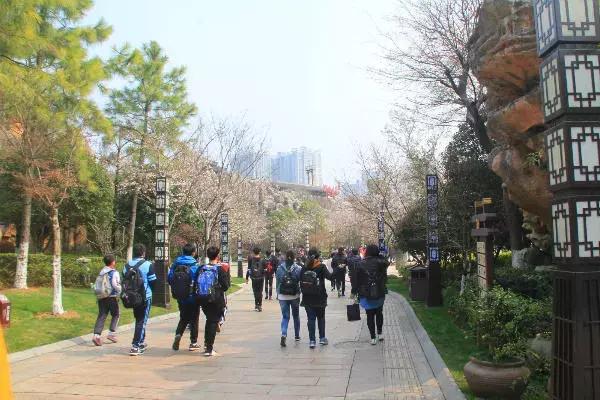 福利丨樱花满天赏春光 晒出照片领好礼