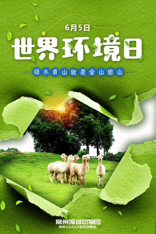 绿水青山就是金山银山