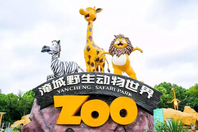 重要节日活动必去打卡点，现场一手高清大片流出……