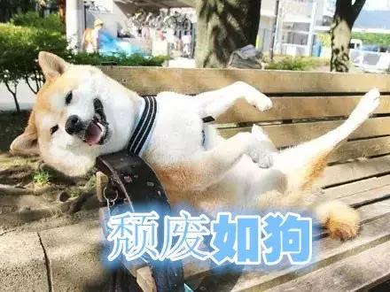 滴~~打卡，暑假都要溜走了，你还不来？