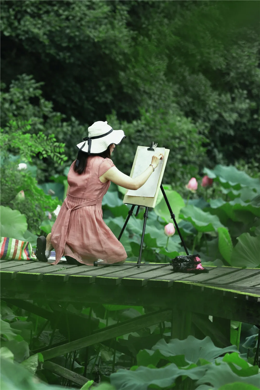 初夏限定 | 从这张壁纸开始,迎接西瓜和蝉鸣!