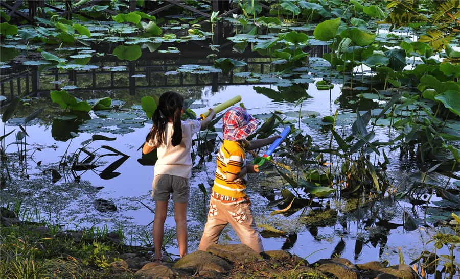 夏日拯救计划——造浪水狂欢