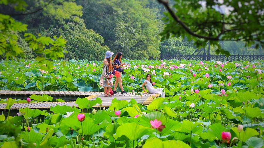 9、子城（河、桥）