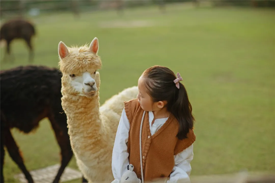 动物“整装”欢乐回归，教你玩转秋冬穿搭