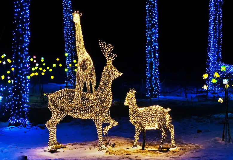 7月2日疯狂动物城，奇妙狂欢夜盛大开幕，精彩抢先看，带你嗨玩仲夏夜