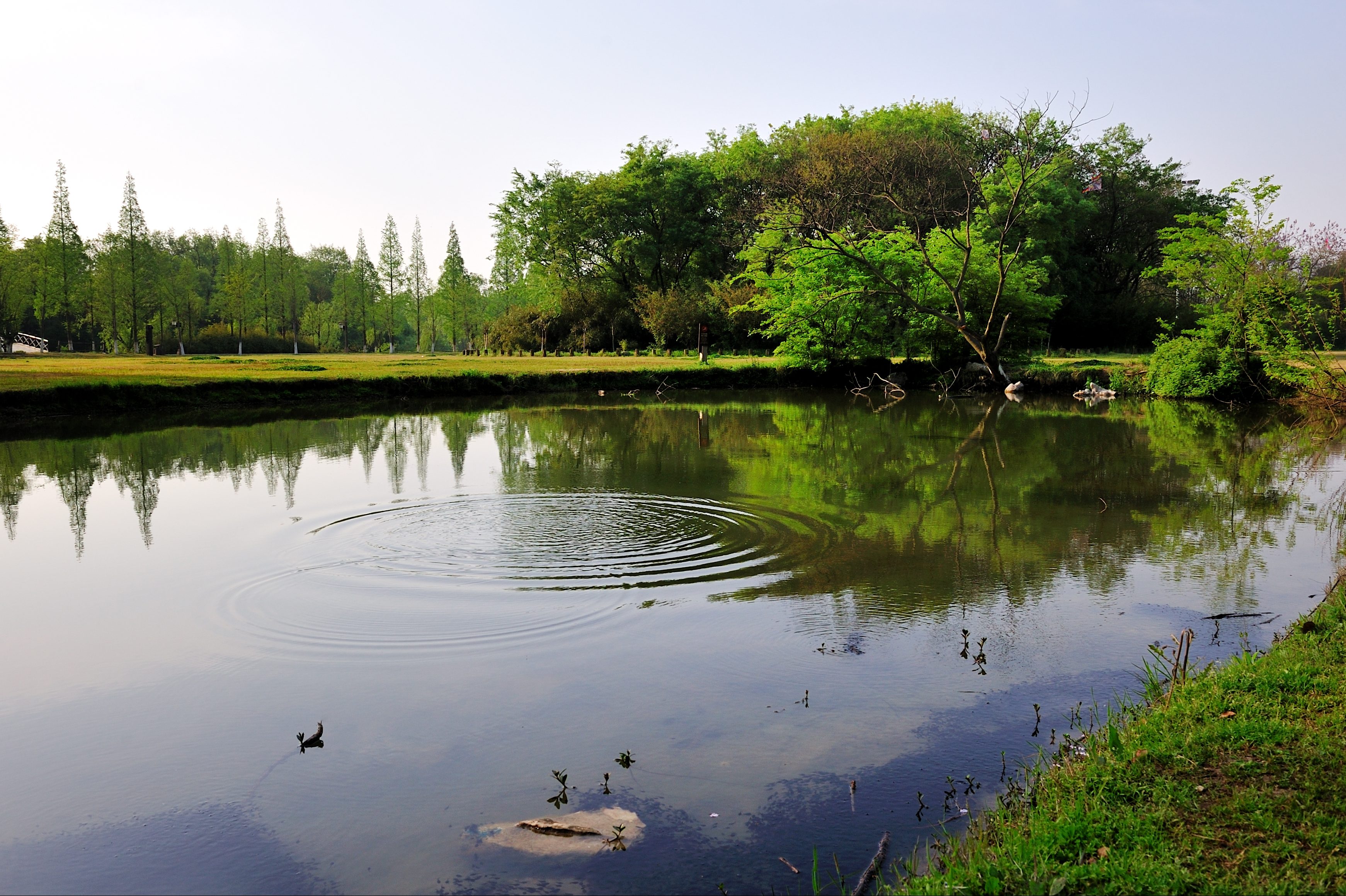 拜师石、洗砚池