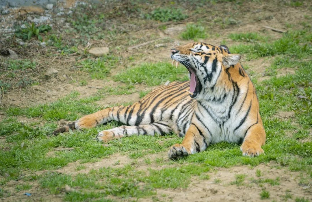 女神节9.9元秒杀门票！！！3月4日直播间更有惊喜福利送不停