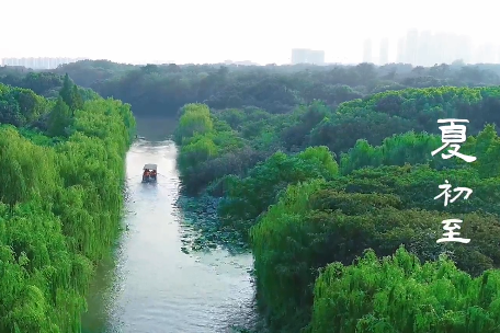 古城和郊野 我想要睡进夏天里