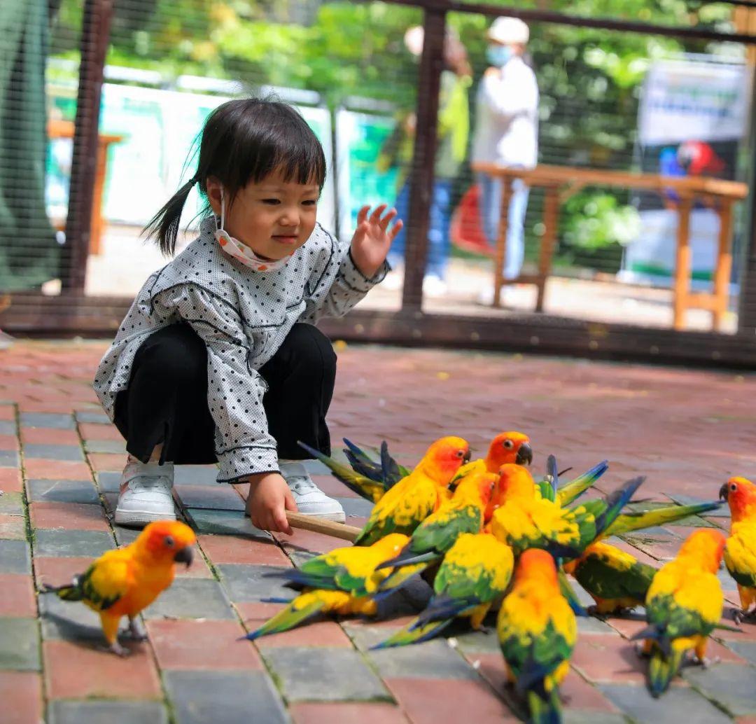 秋游正当时！快来get不一样的秋游照吧