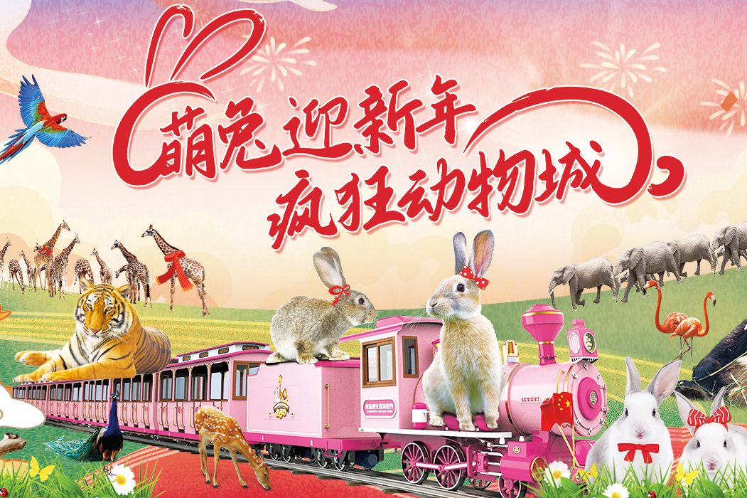 淹城野生动物世界丨萌兔亮相!新春疯狂动物城红红火火迎大年