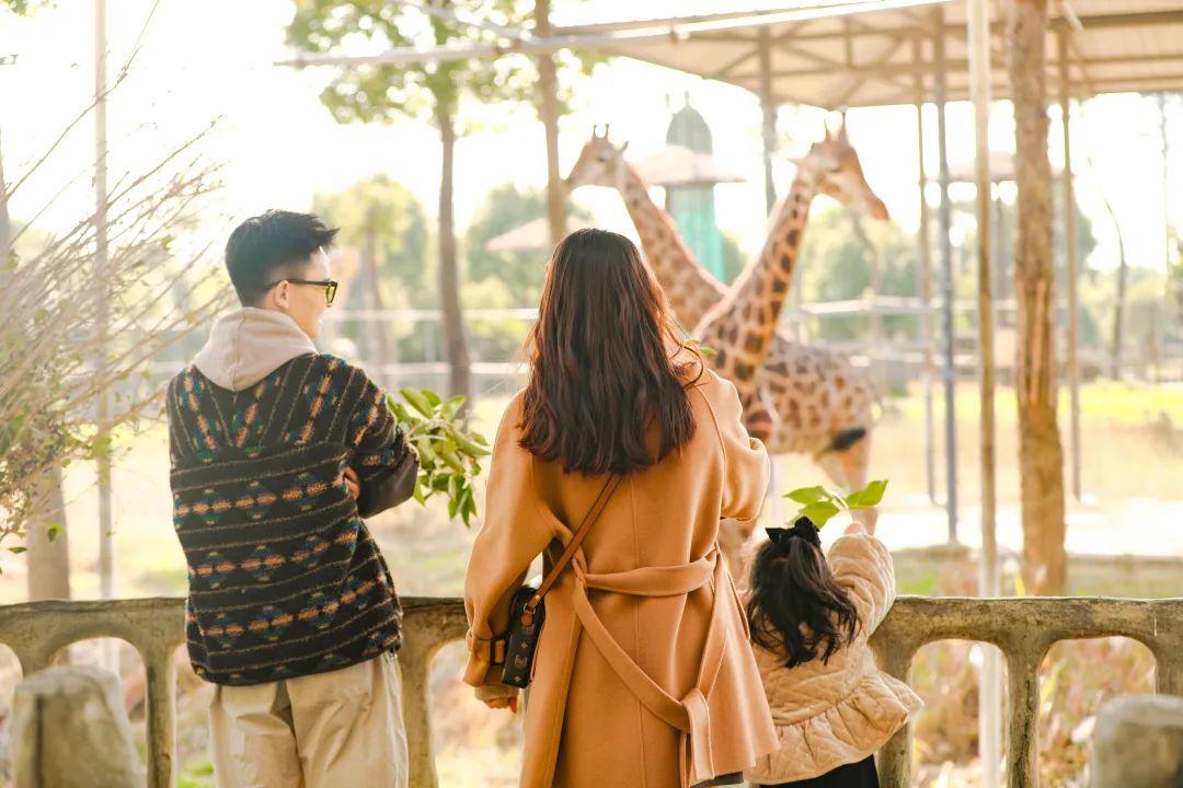 开学后的第一个周末,也太太太太太快乐了!