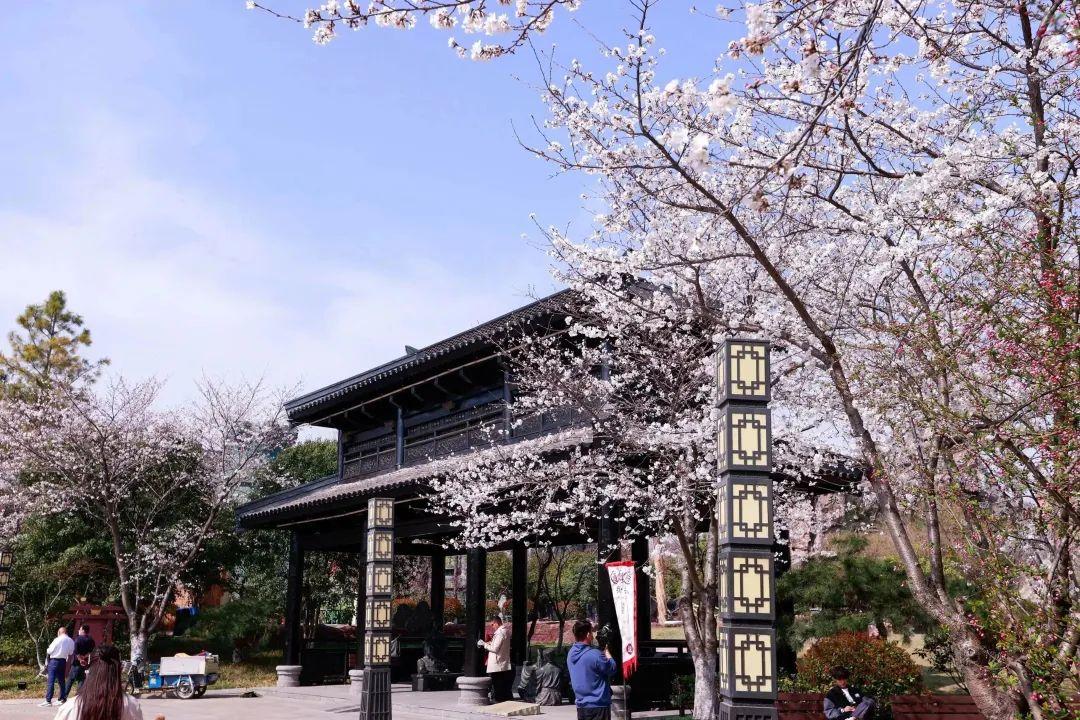 春有约，花不误！这份游园攻略一定要收下哟~