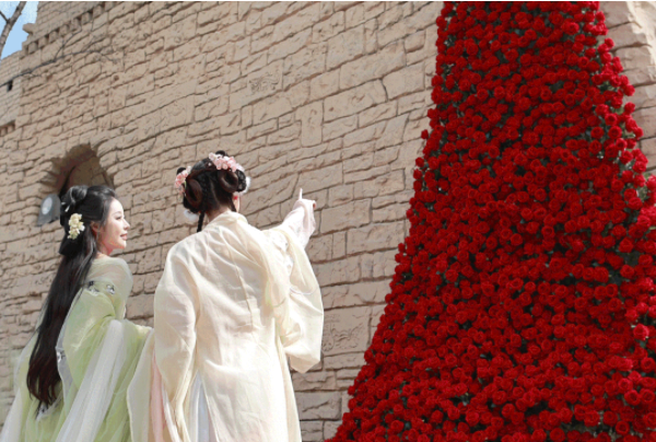 淹城，赏樱正当时！