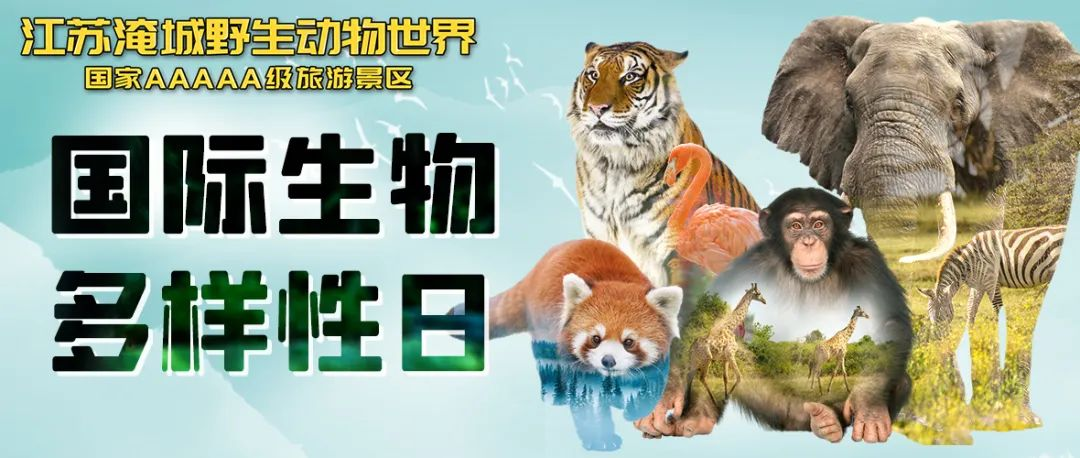 国际生物多样性日丨科普动物保护知识，“共建”美好家园