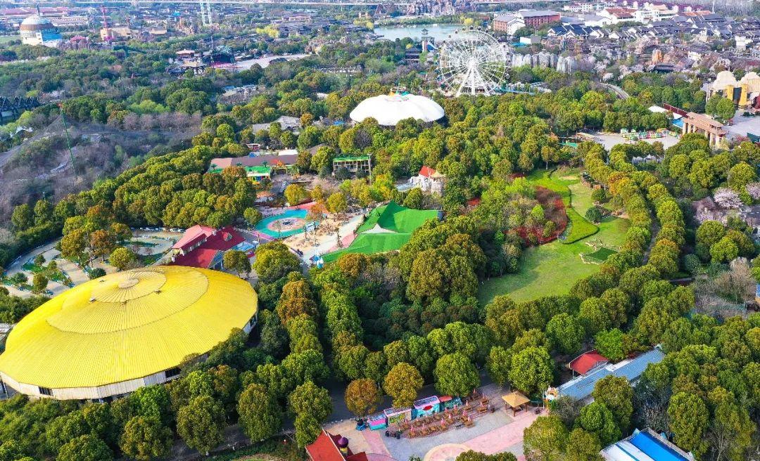 淹城动物园门票也有“高温补贴”！暑期带你FUN肆嗨，动物加特林、吃瓜大战、破冰行动……让你乐不思“暑”！