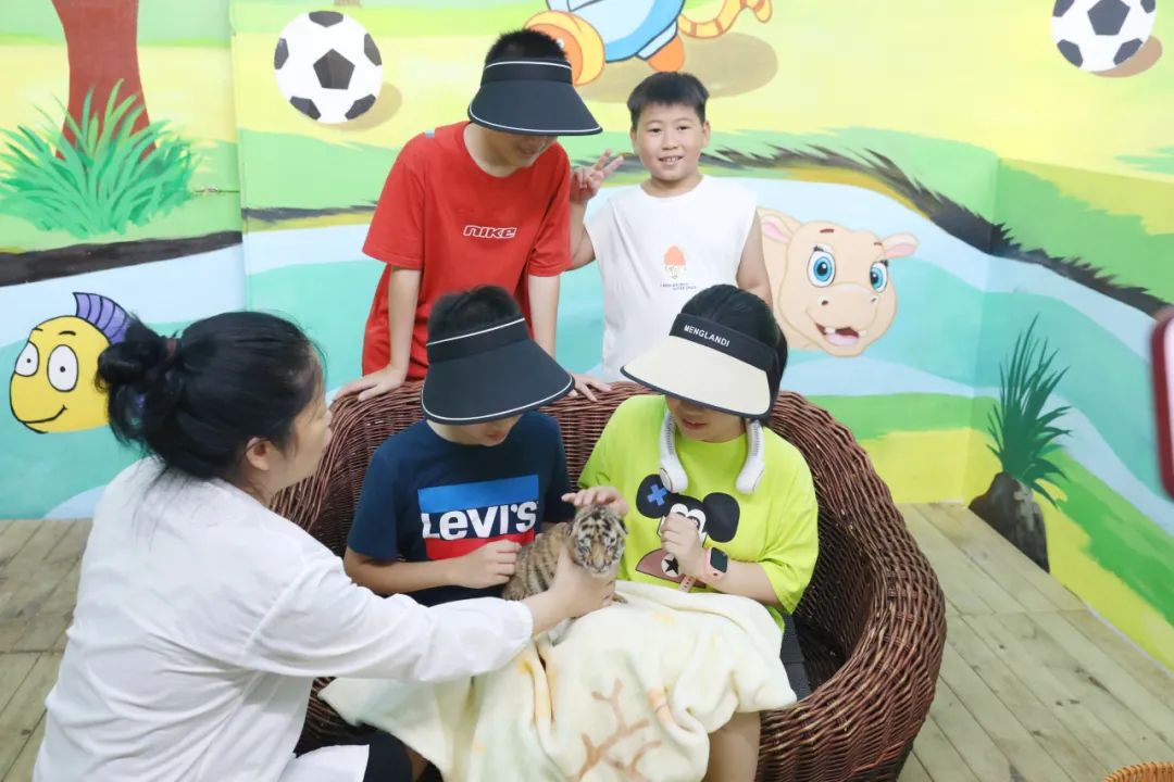 探秘动物园！暑期研学火热进行中，最好的学习在自然界……