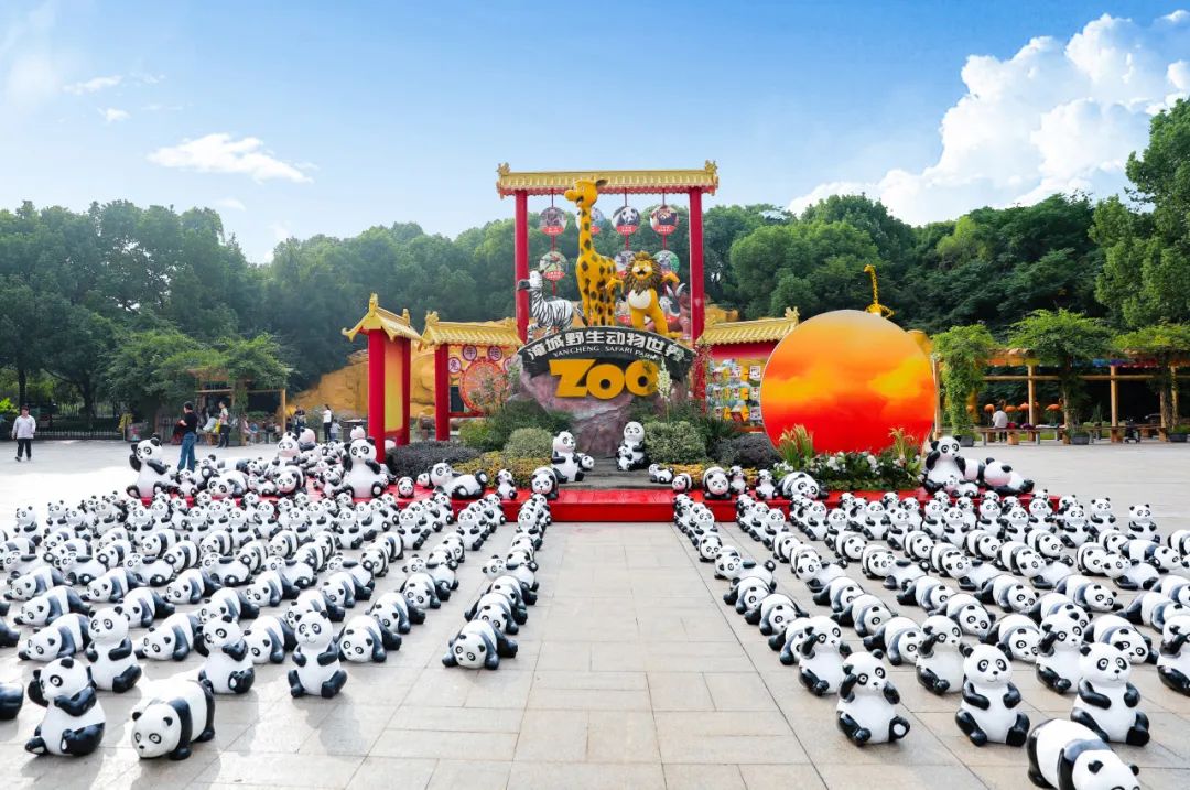 国庆淹城动物园千只大熊猫常州首展，万兽狂欢嗨爆天际！小长假出游攻略赶紧存！