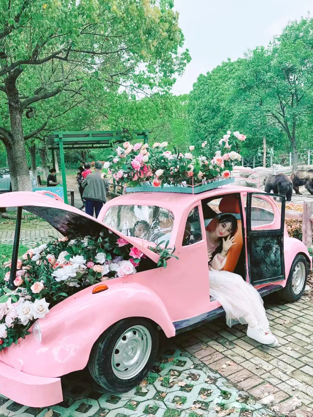 淹城野生动物世界丨五一“戏精”萌兽邀您嗨玩