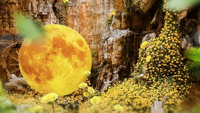 淹城邀您古城三境赏花 共赴东方美学盛宴