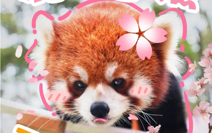 淹城野生动物世界丨藏不住了！春日打卡淹城动物园“野”太棒了！