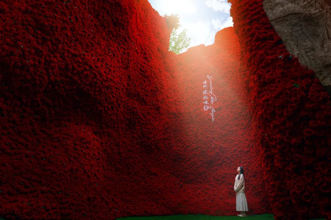 淹城春秋乐园丨假期第一天！玫瑰峡谷太火爆！